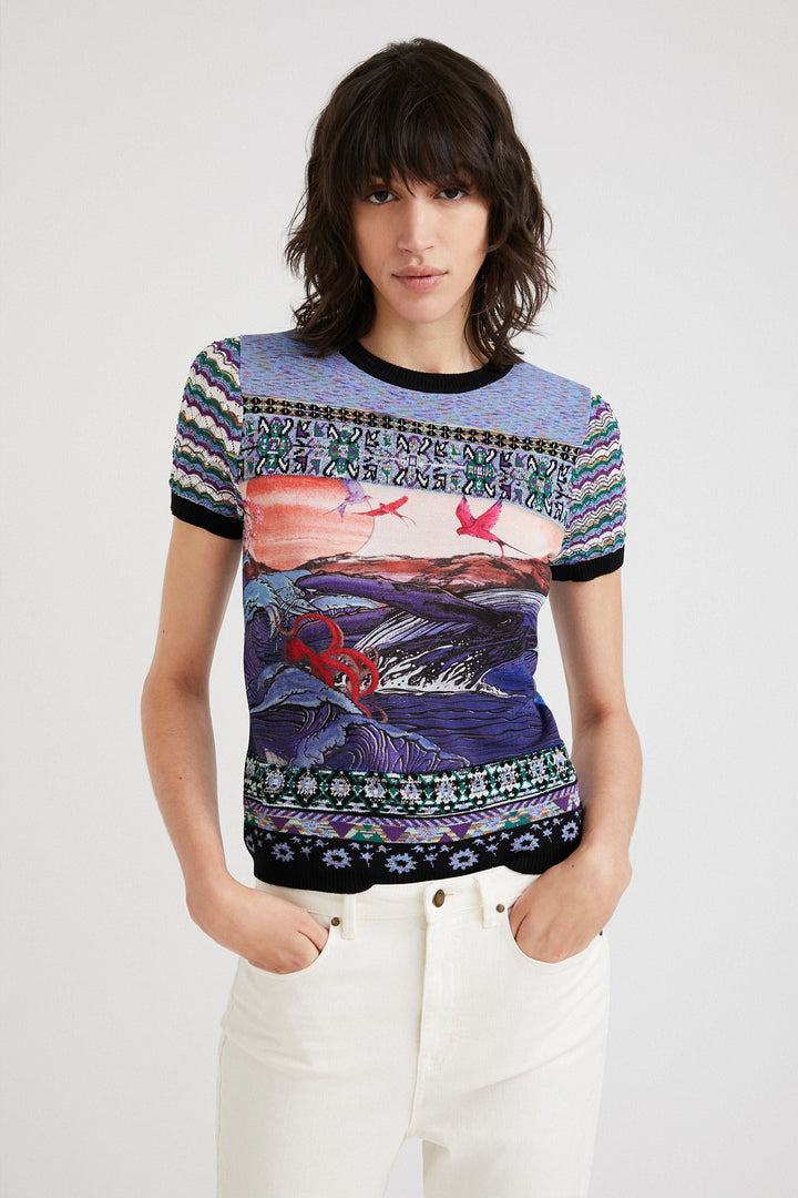 Embroidered Horizon Short Sleeve Top